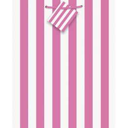 HOT PINK STRIPE GIFT BAG-MED