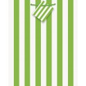 LIME GRN STRIPE GIFT BAG-MED