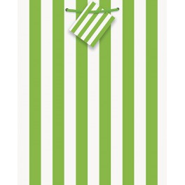LIME GRN STRIPE GIFT BAG-MED