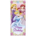 PRINCESS BDAY DOOR POSTR 27X60