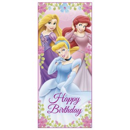 PRINCESS BDAY DOOR POSTR 27X60