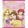 8 DISNEY PRINCESS LOOT BAGS
