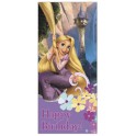 TANGLED BDAY DOOR POSTER 27X60