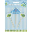 Turtle First Birthday candle set
