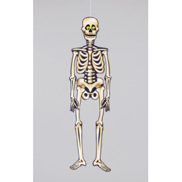 HALLOWEEN JOINTED SKELETON