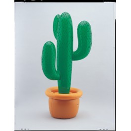 INFLATABLE CACTUS