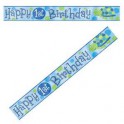First Birthday Turtle 12' banner