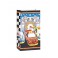 10 VICTORY LANE PAPER BAGS